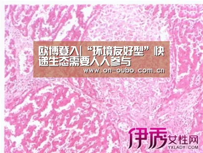 欧博官网