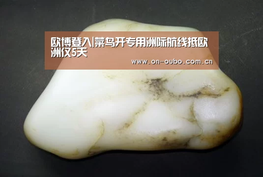 欧博登入|菜鸟开专用洲际航线抵欧洲仅5天(图1) 欧博游戏